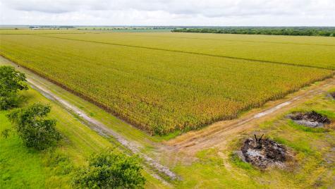 000 County Road 384 Louise TX 77455