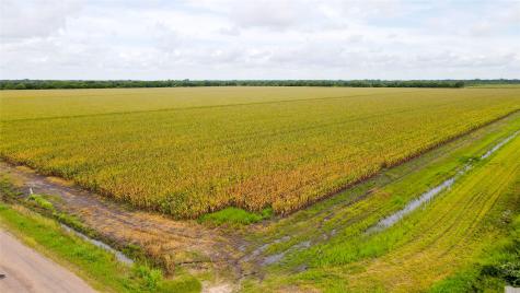 000 County Road 384 Louise TX 77455