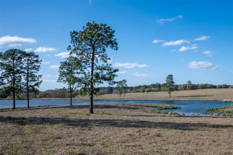 415 Evergreen Trail Woodville TX 75979