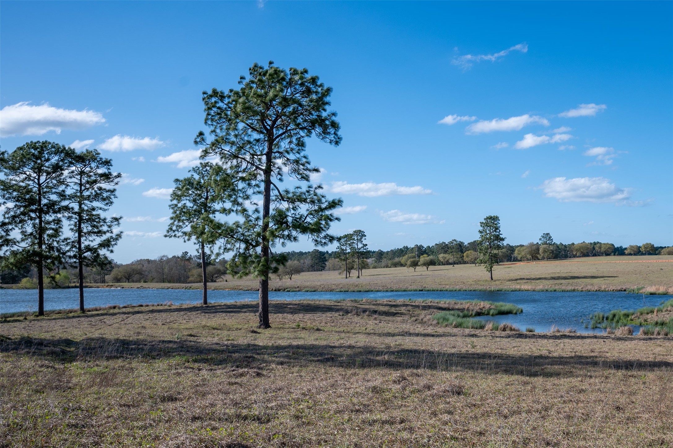 415 Evergreen Trail Woodville TX 75979