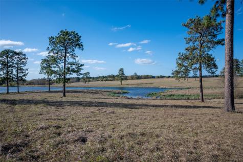 415 Evergreen Trail Woodville TX 75979