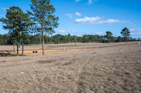 415 Evergreen Trail Woodville TX 75979
