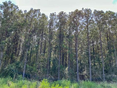 01 Highway 96 Kirbyville TX 75951