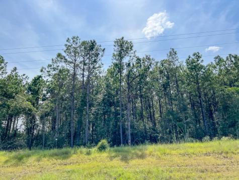01 Highway 96 Kirbyville TX 75951