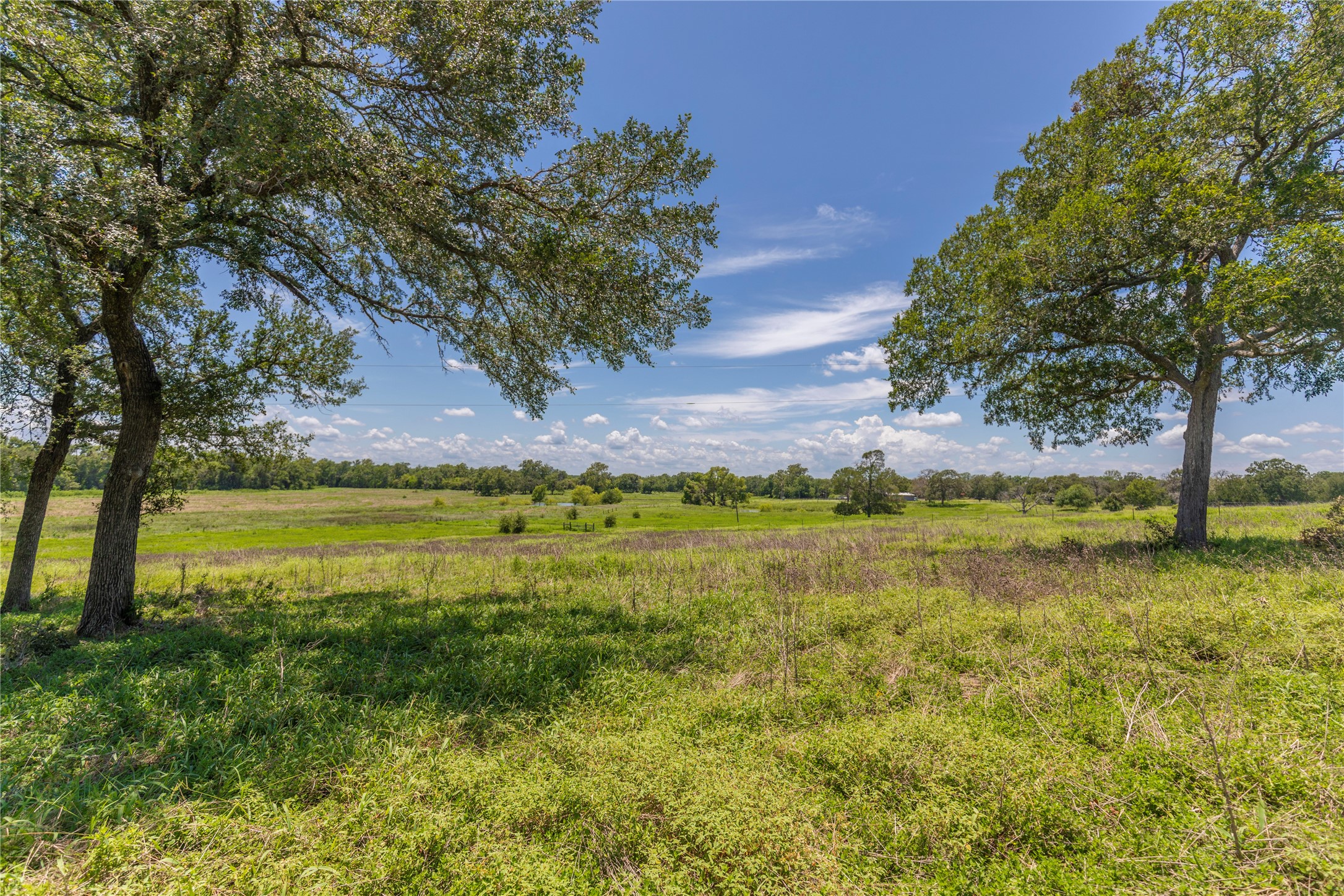 Lot 8 Mill Creek Ranch Road New Ulm TX 78950