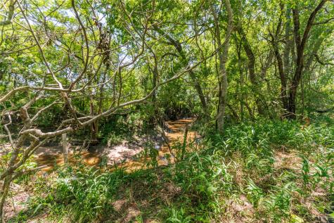 Lot 8 Mill Creek Ranch Road New Ulm TX 78950