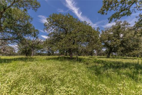 Lot 8 Mill Creek Ranch Road New Ulm TX 78950
