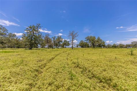 Lot 8 Mill Creek Ranch Road New Ulm TX 78950