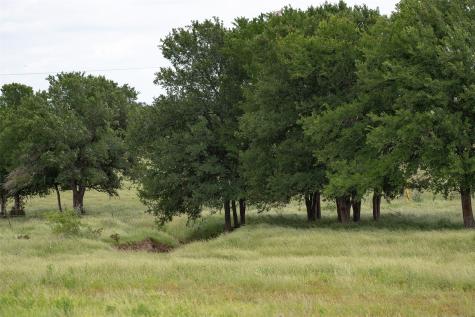 1716 B County Road 469 Coupland TX 78615