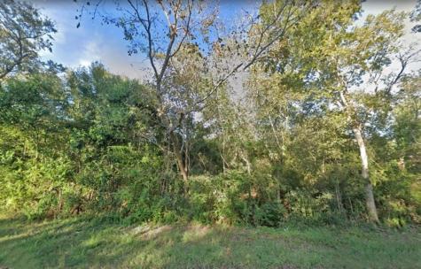 00 Bayou Drive Alvin TX 77511
