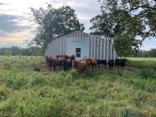 10496 County Road 321 Sweeny TX 77480