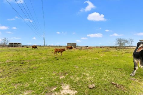311 County Road 18 Damon TX 77430