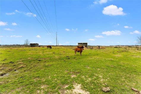 311 County Road 18 Damon TX 77430