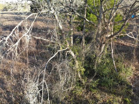 Lots 390 & 80 Hill Loop Road Somerville TX 77879