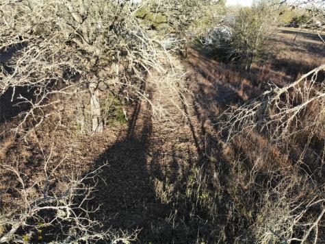 Lots 390 & 80 Hill Loop Road Somerville TX 77879