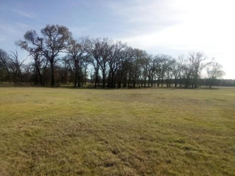 Trail 87 County Road 231 Centerville TX 75833