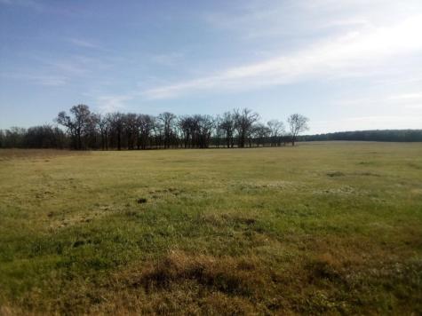 Trail 87 County Road 231 Centerville TX 75833