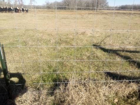 Trail 87 County Road 231 Centerville TX 75833
