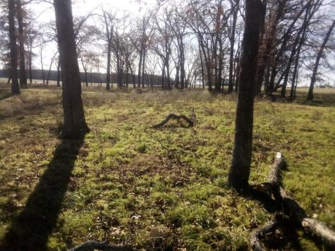 Trail 87 County Road 231 Centerville TX 75833