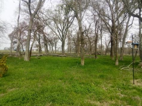 Trail 87 County Road 231 Centerville TX 75833