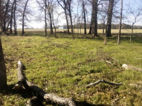 Trail 87 County Road 231 Centerville TX 75833