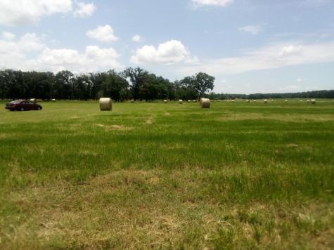 Trail 87 County Road 231 Centerville TX 75833