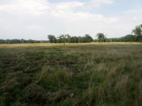 Trail 87 County Road 231 Centerville TX 75833