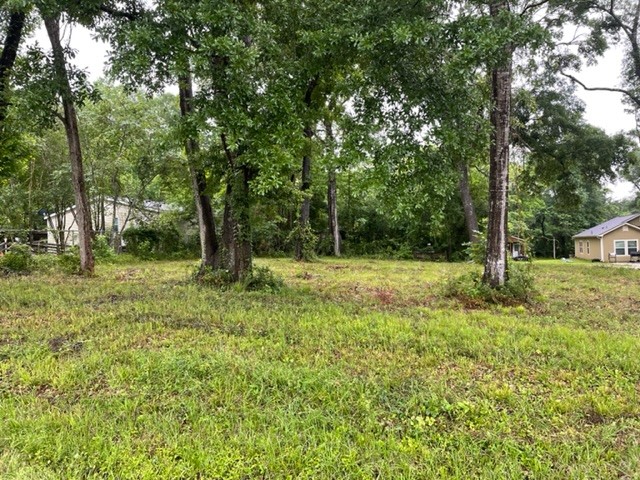 5682 N Us Highway 59 Livingston TX 77351