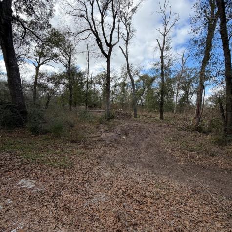 25028 Leitrim Street Hempstead TX 77445