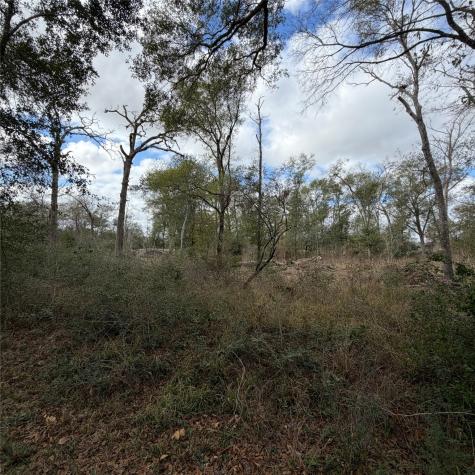 25028 Leitrim Street Hempstead TX 77445