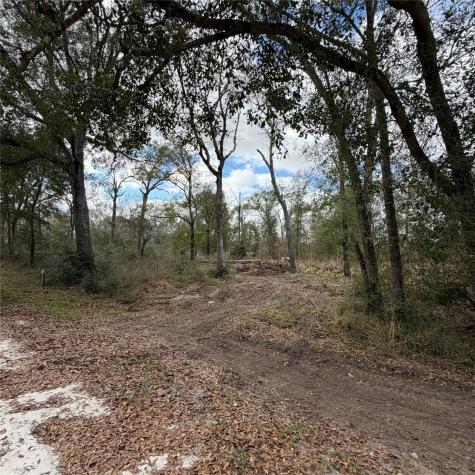 25028 Leitrim Street Hempstead TX 77445