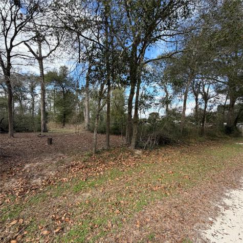 25028 Leitrim Street Hempstead TX 77445