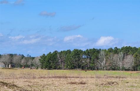 000 Pinckard Road Livingston TX 77351