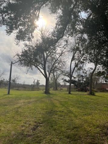 Lot 41 County Road 819 Brazoria TX 77422