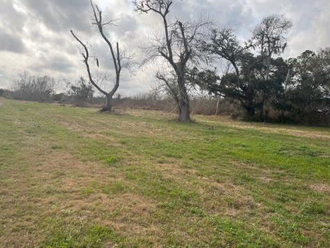 Lot 41 County Road 819 Brazoria TX 77422