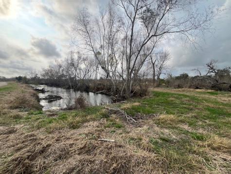 Lot 41 County Road 819 Brazoria TX 77422