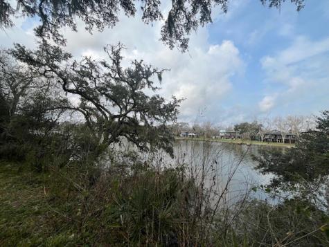 Lot 41 County Road 819 Brazoria TX 77422