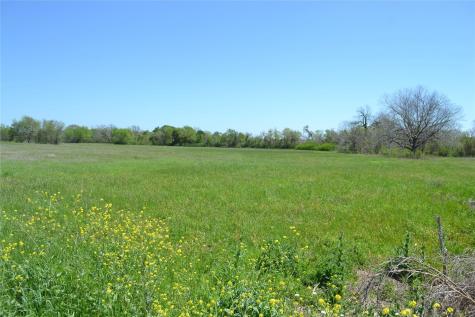 5568 Bleiblerville Road Bleiblerville TX 78931