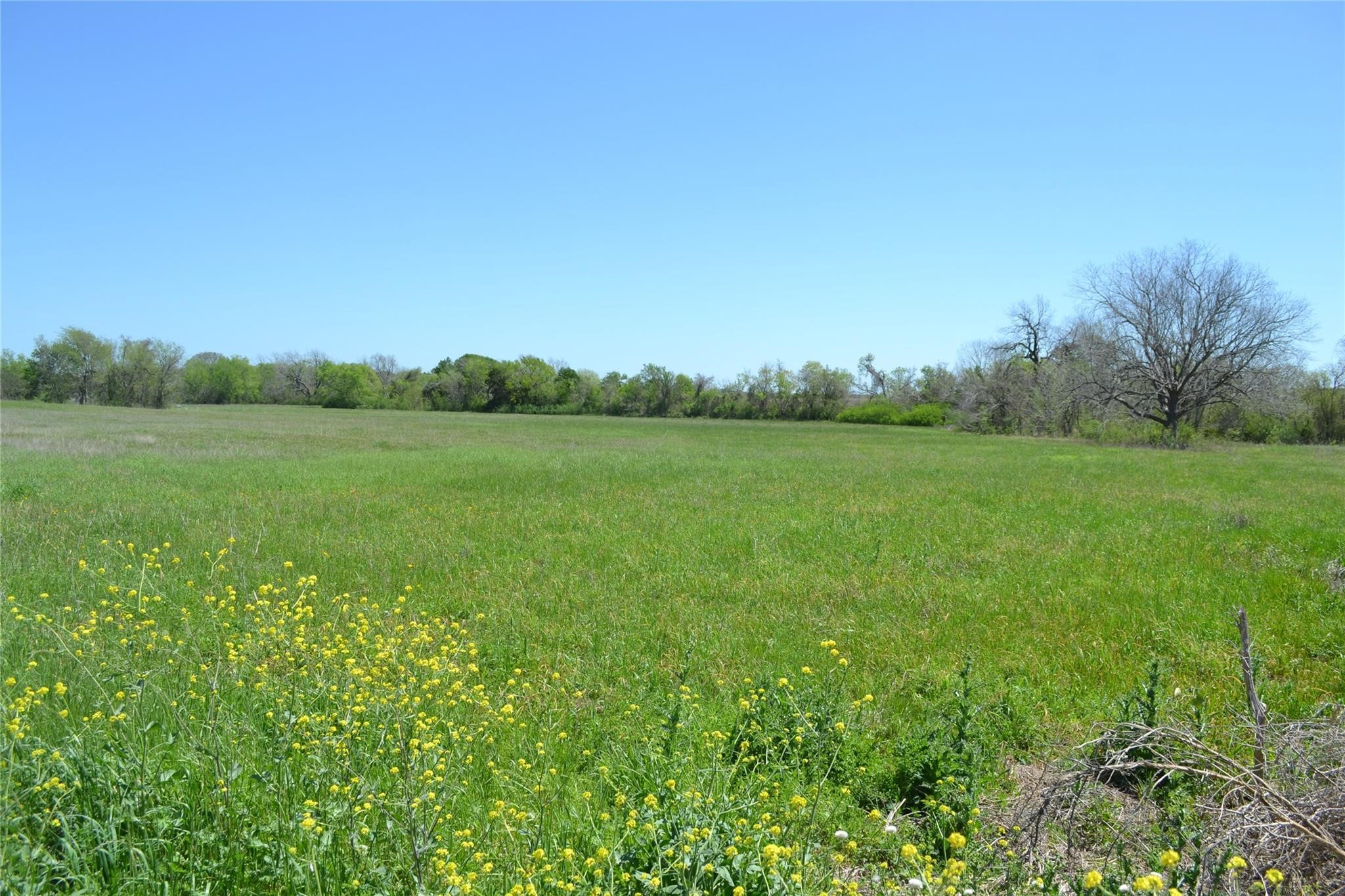 5568 Bleiblerville Road Bleiblerville TX 78931