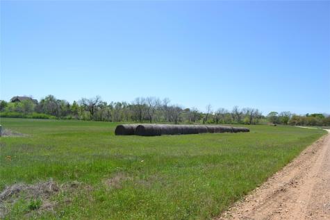 5568 Bleiblerville Road Bleiblerville TX 78931