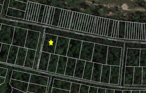 Lot 1 Appian Way New Caney TX 77357
