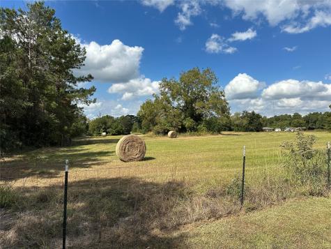 11 Ac W Danville Road Willis TX 77378