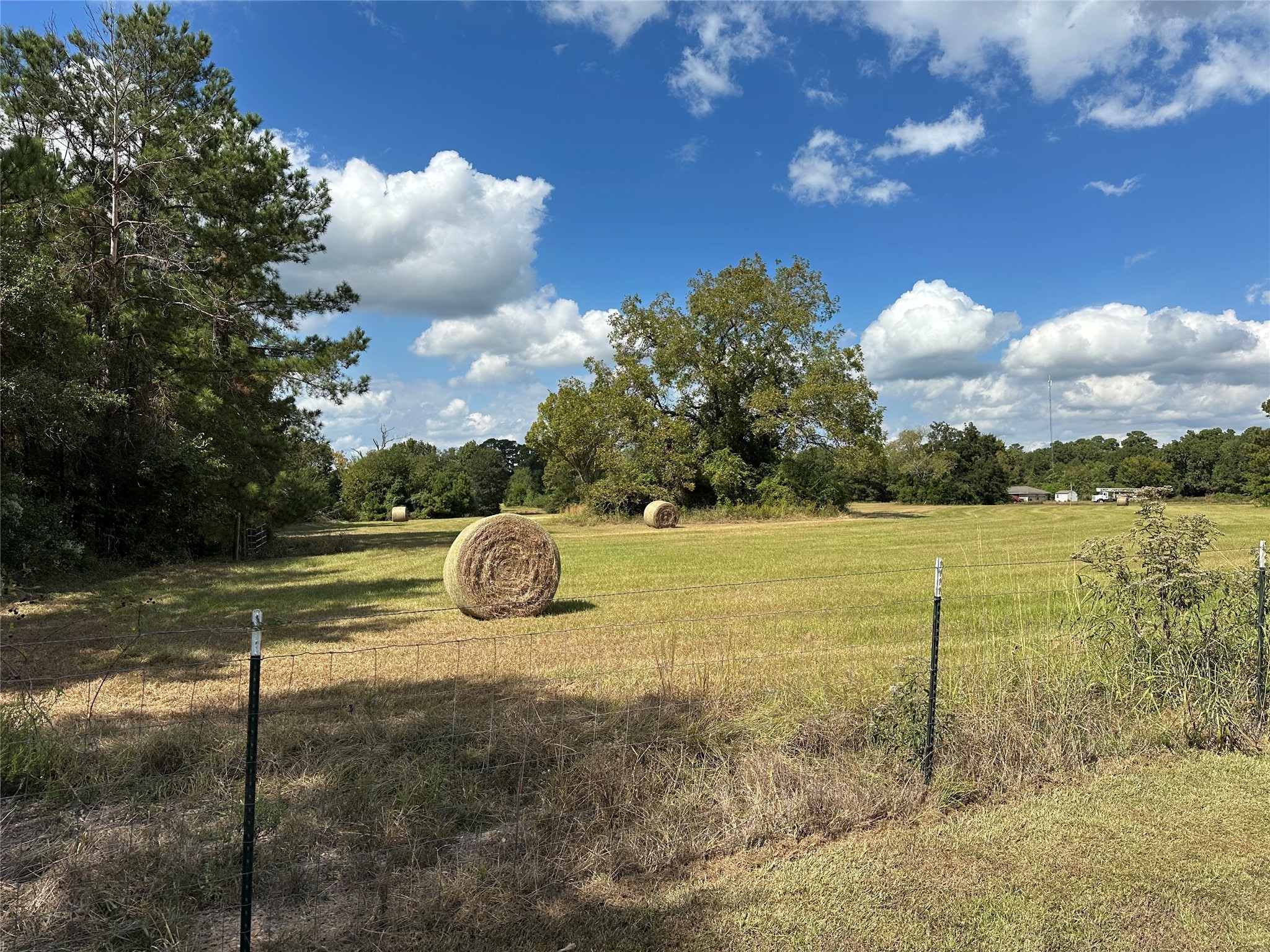 11 Ac W Danville Road Willis TX 77378