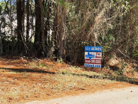 11 Ac W Danville Road Willis TX 77378