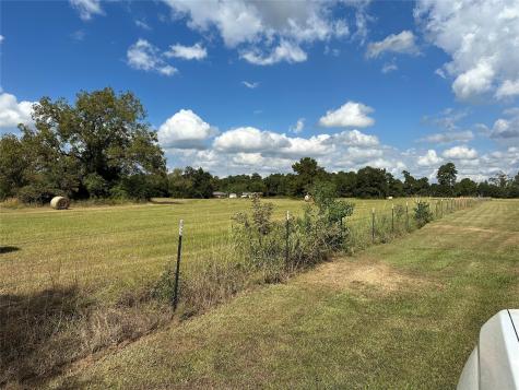 11 Ac W Danville Road Willis TX 77378