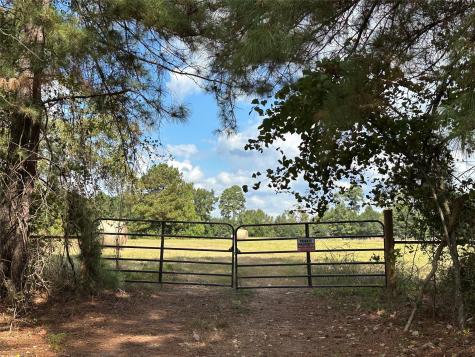 11 Ac W Danville Road Willis TX 77378