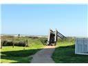 25010 Monterey Court Galveston TX 77554