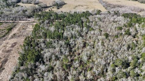 Tbd Old Highway 35 N Livingston TX 77351