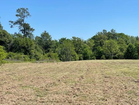 Tbd State Highway 19 S Lovelady TX 75851