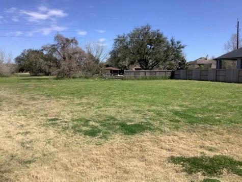 32707 Warbler Court Fulshear TX 77441